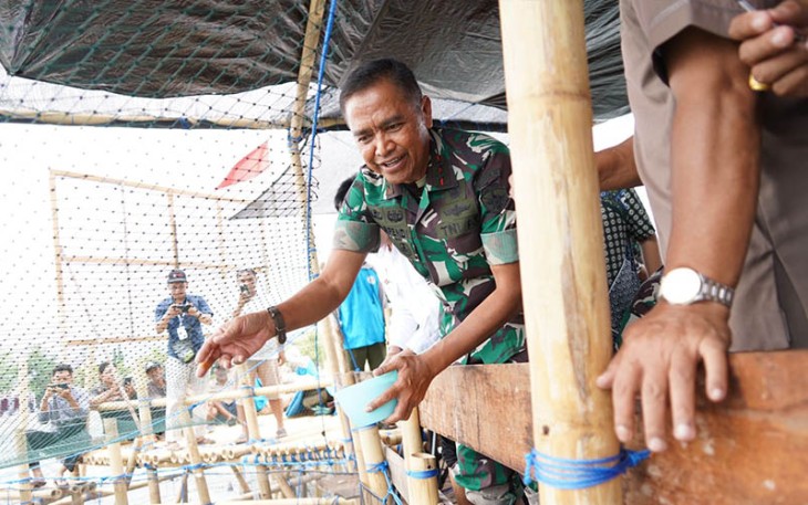 Gerakan Nasional Ketahanan Pangan 