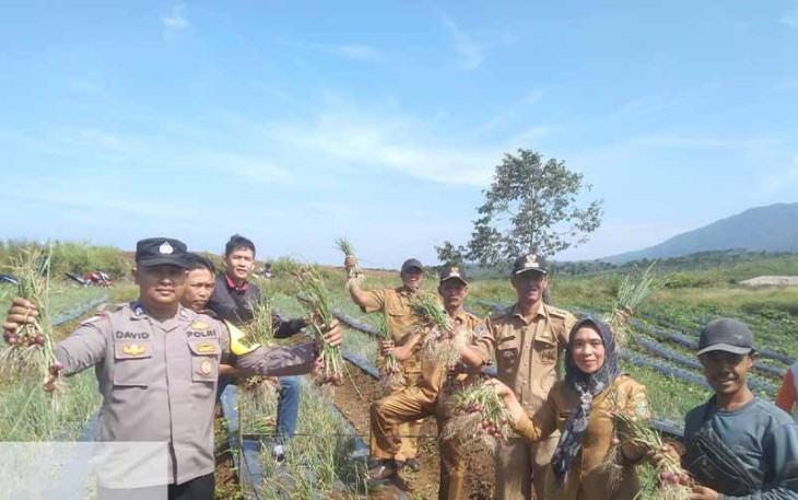 Bhabinkamtibmas saat Hadiri Panen Raya Bawang