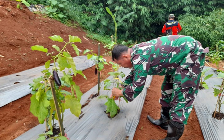 Kodim 0505/Jakarta Timur Dukung Ketahanan Pangan