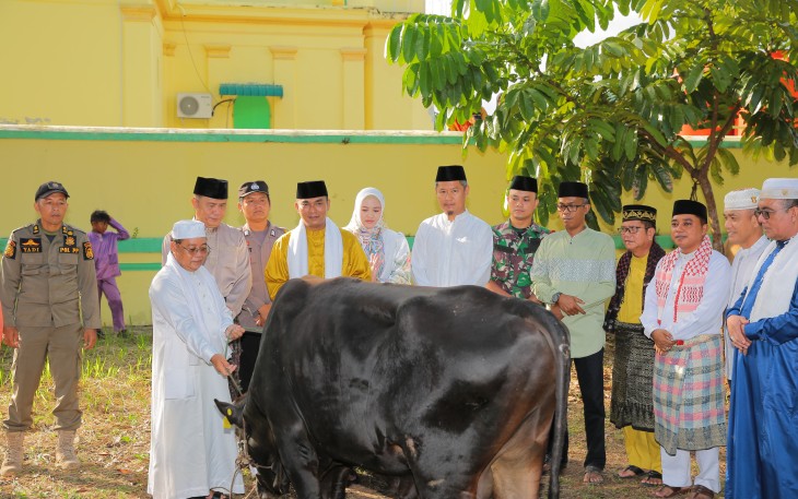 Pj. Wako, Andri saat menyerahkan hewan Qurban kepada panitia pelaksana Qurban di halaman Masjid Raya Sultan Riau Penyengat, berupa satu ekor lembu dari Pemerintah Kota Tanjungpinang