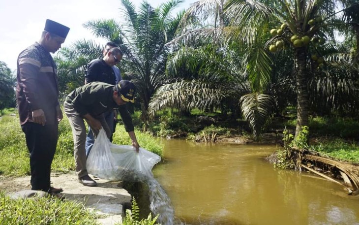 Wabup Risnawanto Tebarkan 10.000 Benih Ikan Nila di Batang Gunung