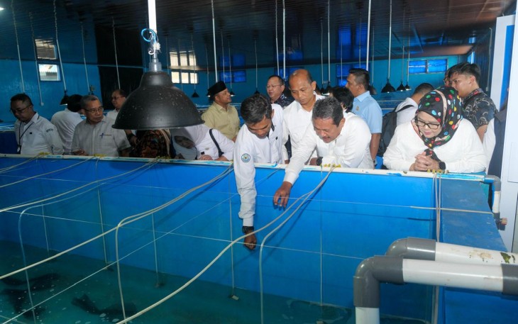 Pengawasan Penting untuk Pemanfaatan Sumberdaya Kelautan
