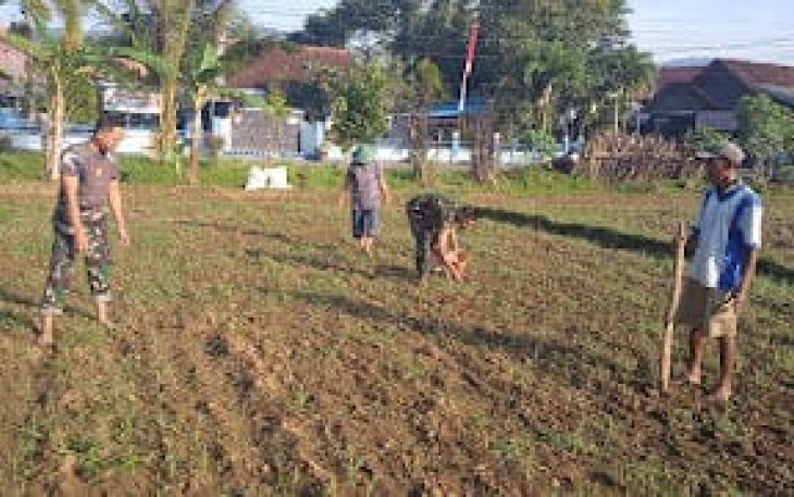 Anggota Kodim 0801/Pacitan Manfaat Lahan Kosong