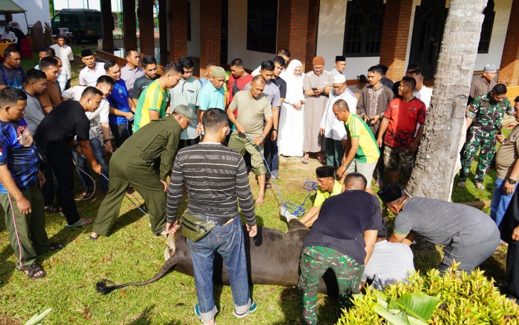 Danrem 041/Gamas Brigjen TNI Rachmad Zulkarnaen saat hadir dalam prosesi pemotongan hewan kurban