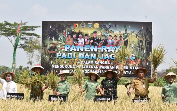 Dandim 0818 Bersama Danrem 083/BDJ Pimpin Panen Raya Padi dan Jagung di Turen