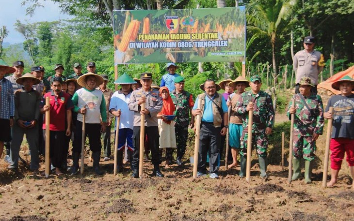Kodim 0806/Trenggalek saat Tanam Jagung Serentak
