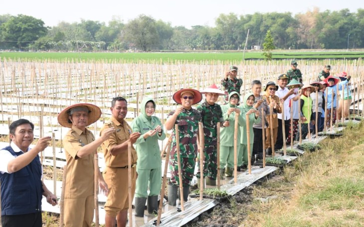 Danrem 081/DSJ Galakkan Budidaya Melon Jenis Ini di Madiun