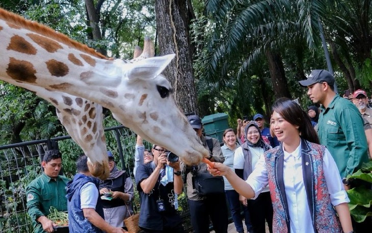 Wakil Menteri Pariwisata (Wamenpar) Ni Luh Puspa bersama jajaran Kementerian Pariwisata (Kemenpar) meninjau Taman Margasatwa Ragunan Jakarta
