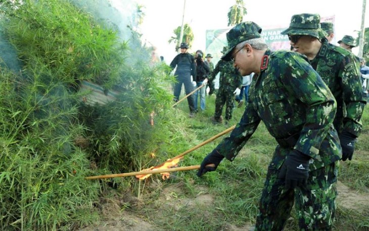 Kepala BNN RI saat Pimpin Pemusnahan Lahan Ganja di Aceh Utara, Selasa (23/1).