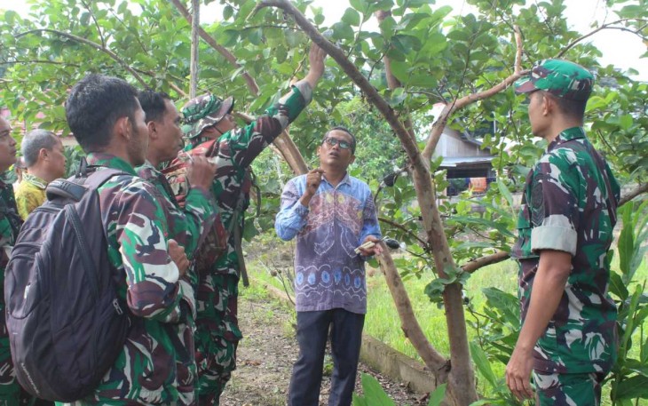 Anggota Kodim 1001/HSU-BLG saat praktek okulasi bibit tanaman, Kamis (25/1)
