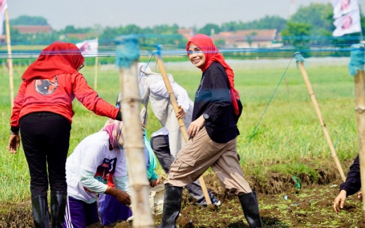 Siti Atikoh saat membantu petani tanam bawang merah di dusun Wonosalam Kabupaten Probolinggo, Jawa Timur Jum'at (26/1)