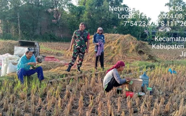Bantu panen padi warga binaan
