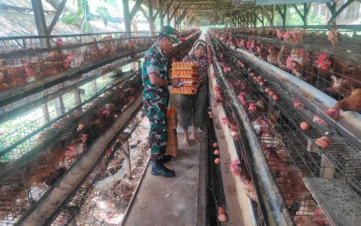 Komsos bersama peternak ayam petelur di desa binaan