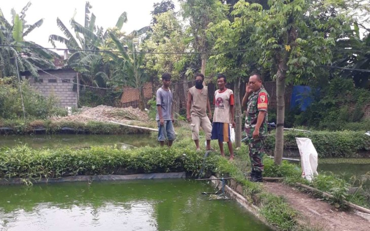 Komsos Babinsa dengan peternak lele di wilayah desa binaan 