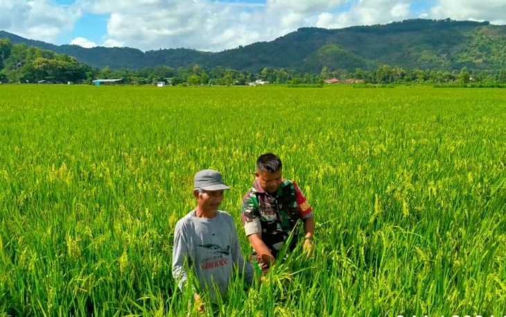 Pendampingan petani wilayah desa binaan 