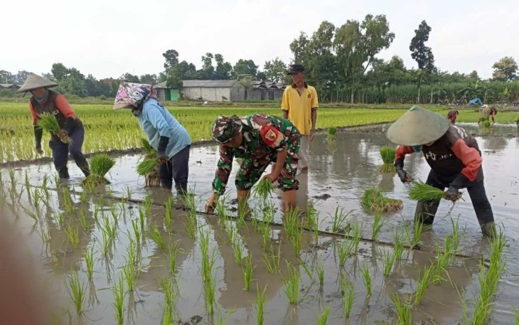 Bantu tanam padi warga binaan 