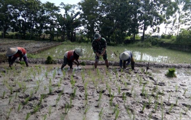 Tanam padi bersama warga binaan