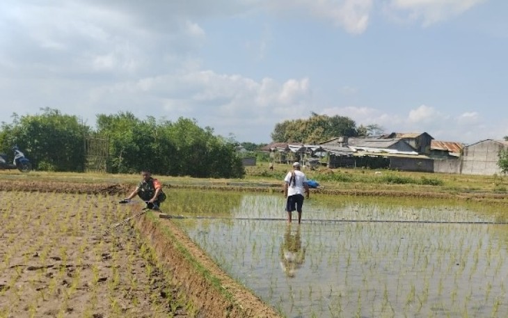 Pendampingan pengairan sawah wilayah desa binaan 