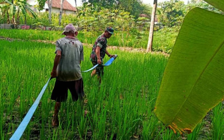 Alirkan air pompanisasi di sawah petani warga binaan 