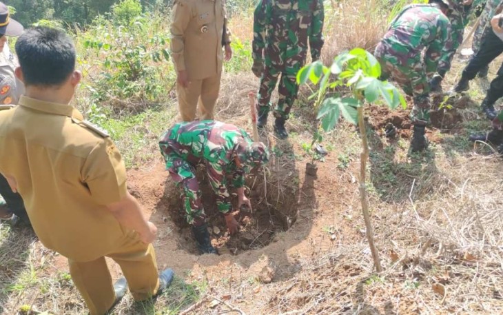 Penghijauan Tanam Pohon Di Lereng Gunung Wilis