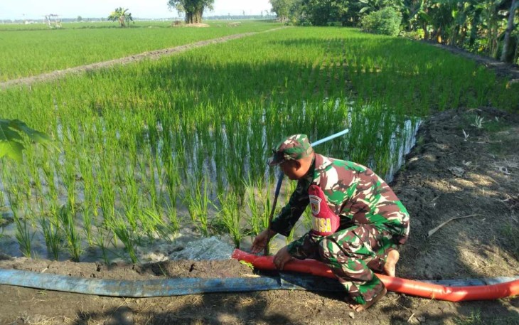 Pompanisasi aliri persawahan petani wilayah binaan 