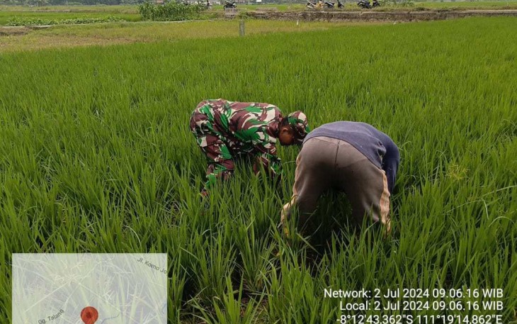 Pendampingan petani wilayah desa binaan 