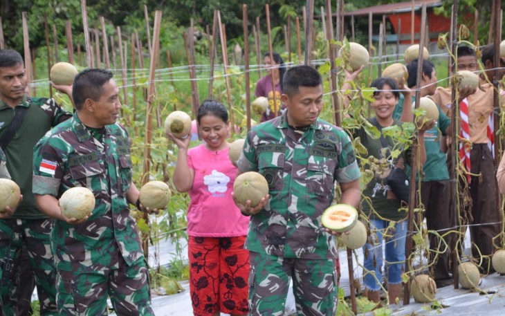 Dandim 1710/Mimika Pimpin Panen Melon di Lahan Kodim 