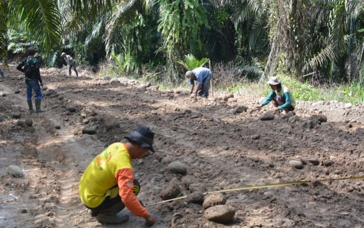 Satgas TMMD melakukan pengerjaan membangun jalan sepanjang 3.400 meter