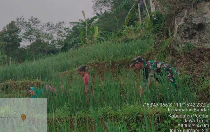 Pendampingan petani wilayah desa binaan 