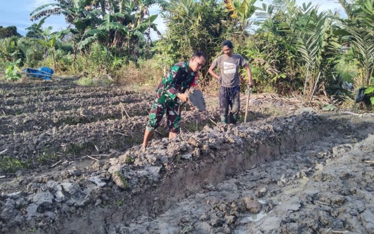 Babinsa Mapurajaya Bantu Pembuatan Bedengan 