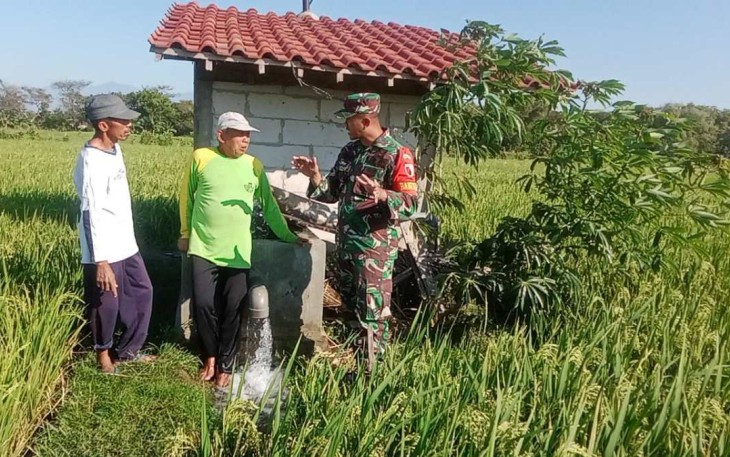 Pendampingan petani wilayah desa binaan 