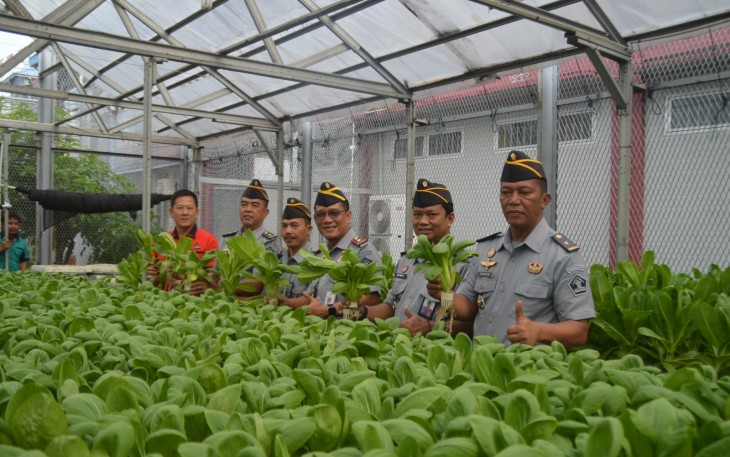 Lapas Kelas I Medan Panen Raya Tanaman Hidroponik