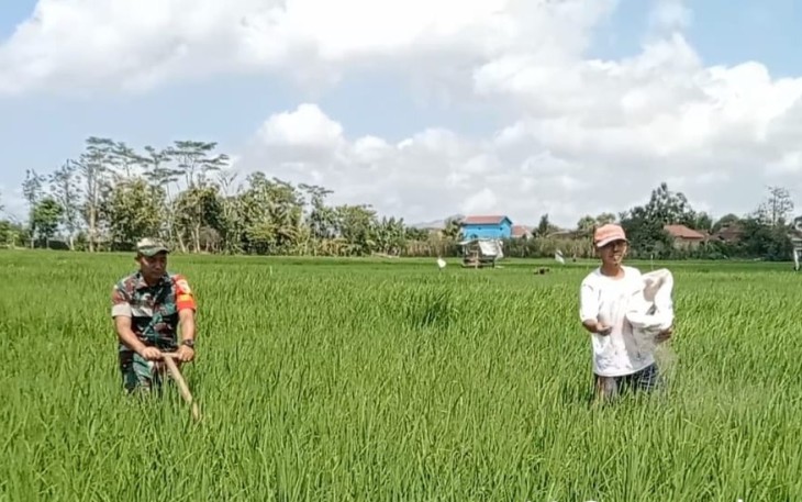 Pendampingan petani wilayah desa binaan 
