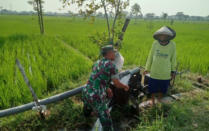 Pendampingan kelompok tani wilayah desa binaan 