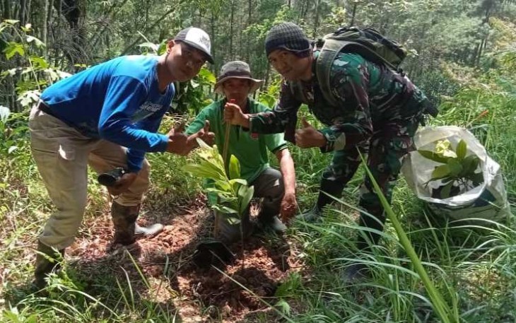 Tanam bibit pohon di wilayah Tulungagung 