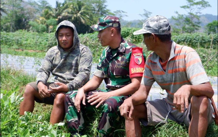 Pendampingan petani wilayah desa binaan 