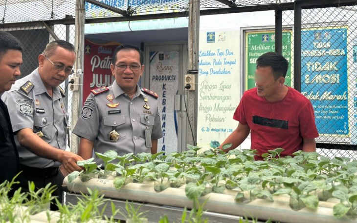 Kalapas Kelas I Medan Kontrol Langsung ke Tanaman Budidaya.