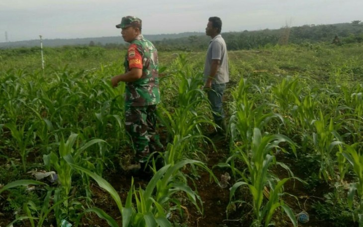 Pendampingan petani wilayah desa binaan 
