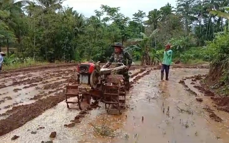Bantu pengolahan lahan pertanian petani desa binaan 
