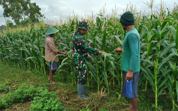 Perawatan tanaman petani desa binaan