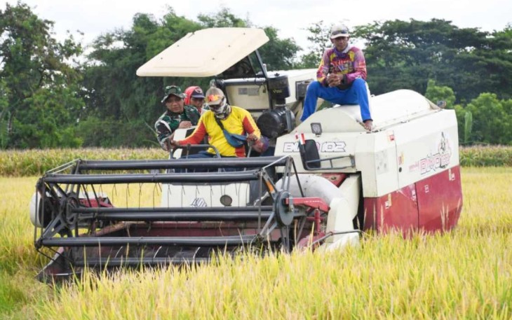 Panen raya padi di desa Puncang Anom, Kabupaten Madiun, Rabu (18/12)