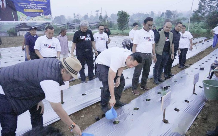 Menteri ATR/BPN Agus Harimurti Yudhoyono saat menanam asparagus di Kabupaten Cianjur 