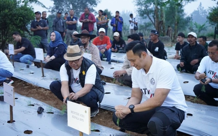Menteri ATR/BPN Agus Harimurti Yudhoyono saat tanam asparagus 