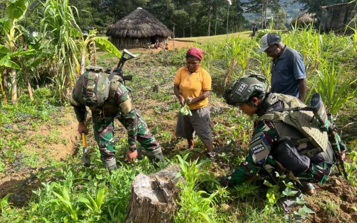 Bibit sayur ketahanan pangan Satgas Yonif 323 Buaya Putih 