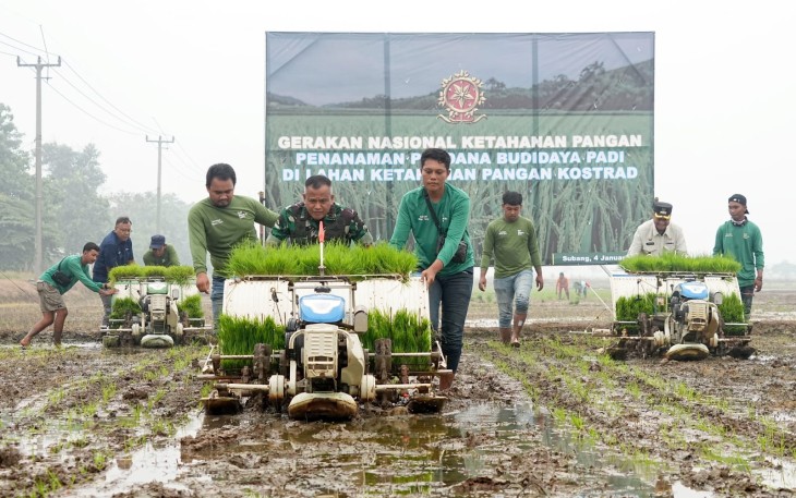 Panglima Kostrad (Pangkostrad) Letnan Jenderal TNI Muhammad Saleh Mustafa bersama Penjabat (Pj) Bupati Subang Dr. Drs. Imran, M.Si., MA.Cd melaksanakan kegiatan gerakan nasional ketahanan pangan, penanaman perdana budi daya padi di lahan ketahanan pangan Kostrad, bertempat di Ds.Sukamandi, Kec. Ciasem, Kab.Subang, Jawa Barat, Kamis (4/1/2024)