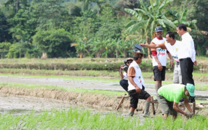 Mentan saat di Kota Palopo, Sulawesi Selatan, Sabtu, 3 Februari 2024.