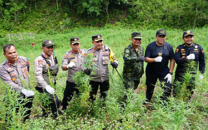 BNN RI kembali memusnahkan lahan ganja di Provinsi Aceh. Pemusnahan dipimpin oleh Direktur Narkotika Deputi Bidang Pemberantasan BNN RI, Brigjen Pol Ruddi Setiawan, S.I.K., S.H., M.H., pada Rabu (6/3), di dua lokasi yang berbeda, dengan total lahan seluas 4 hektare.