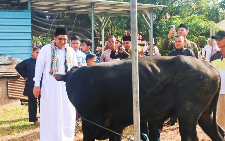 Bupati Roby didampingi Wakil Bupati Bintan dan rombongan menyaksikan prosesi penyembelihan hewan qurban.
