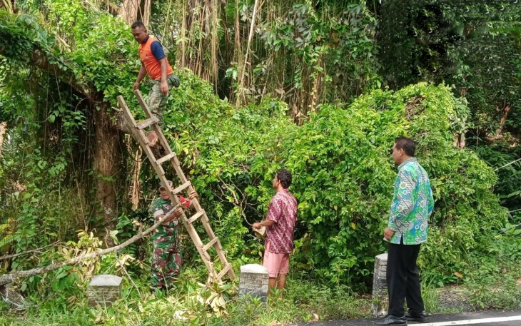 Anggota personel Koramil 0806/07 Watulimo bersatu dengan sejumlah instansi dan komunitas setempat untuk melaksanakan gotong royong pemotongan kayu yang membahayakan pengguna jalan, Kamis (4/1/2024)