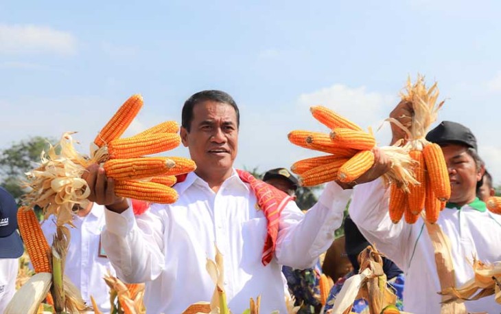 Mentan Amran saat Panen Jagung Kota Medan, Senin, 5 Februari 2024.